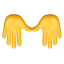 Extension Icon