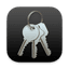 Watchkey icon